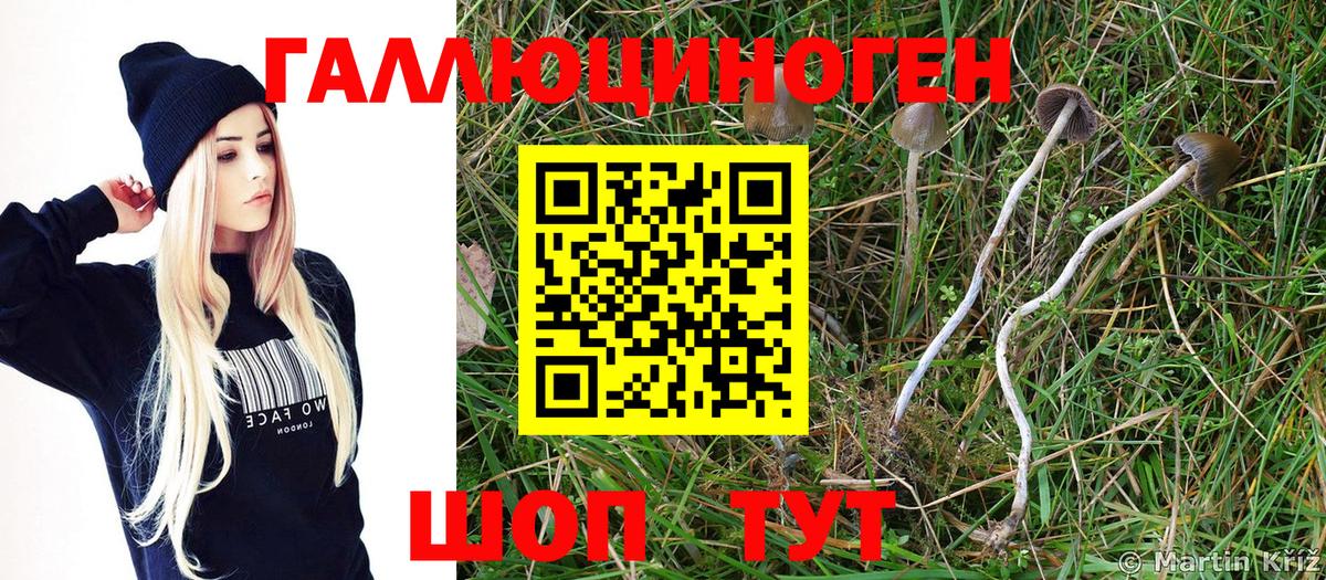 Галлюциногенные грибы Magic Shrooms Можга